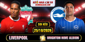 Soi Kèo Liverpool Vs Brighton Hove Albion 21h00 25/10 - Ngoại Hạng Anh